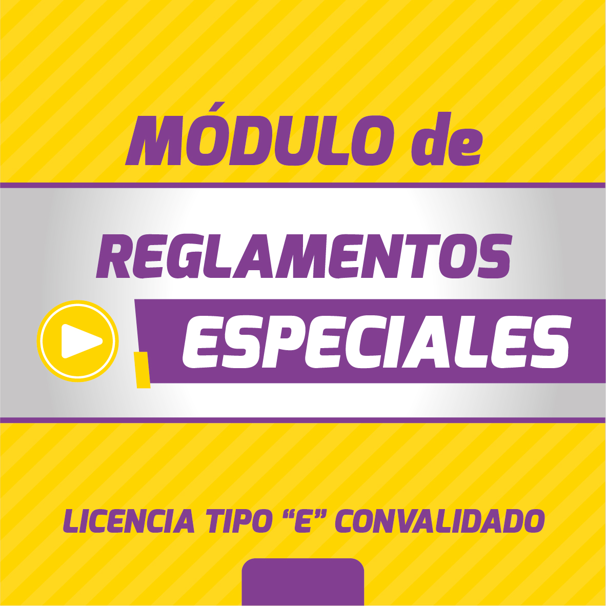 REGLAMENTOS ESPECIALES (Licencia Tipo E Convalidado - Fines de Semana )