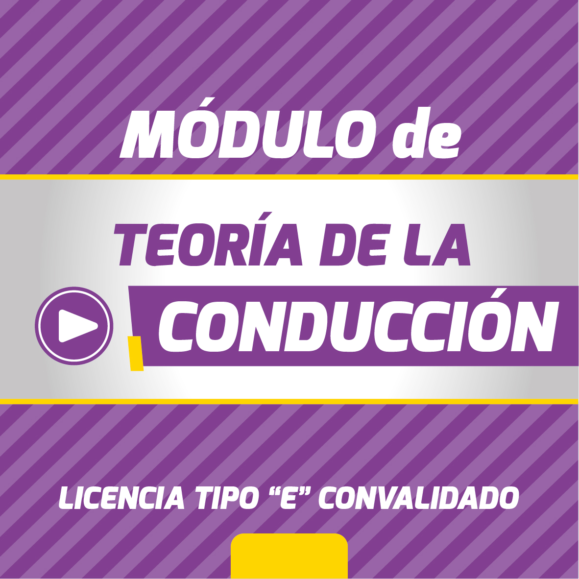 TEORÍA DE LA CONDUCCIÓN (Licencia Tipo E Convalidado - Fines de Semana)
